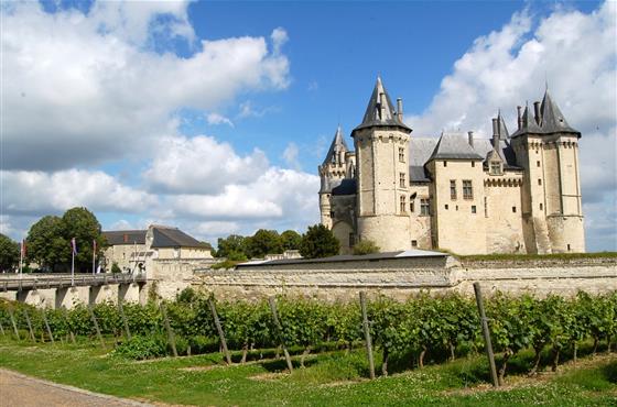 Vignes du Château de Chinon - Offre basse saison, séjour en couple, entre amis, en famille en Val de Loire - Camping Loire et Châteaux à Bréhémont entre Tours et Saumur près des Châteaux de la Loire