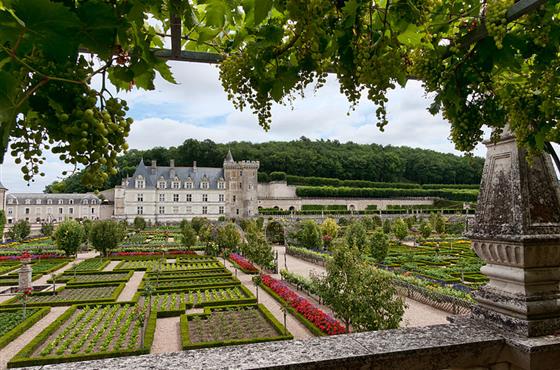 A découvrir aux alentours du Camping Loire et Châteaux à Bréhémont en Indre et Loire proche de Tours et Saumur, près des châteaux de La Loire
