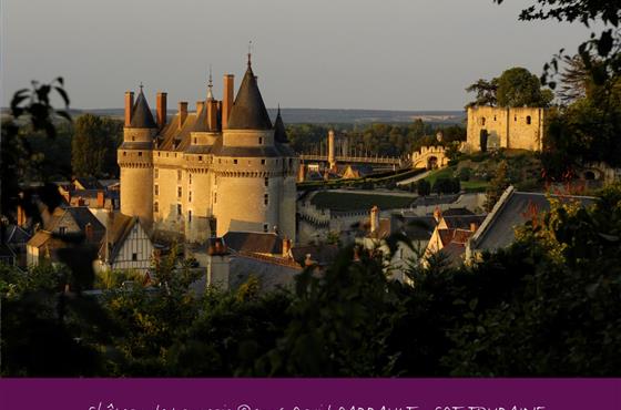 A découvrir aux alentours du Camping Loire et Châteaux à Bréhémont en Indre et Loire proche de Tours et Saumur, près des châteaux de La Loire