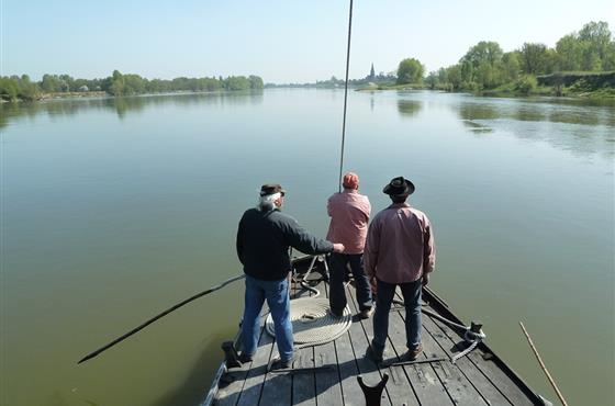 A découvrir aux alentours du Camping Loire et Châteaux à Bréhémont en Indre et Loire proche de Tours et Saumur, près des châteaux de La Loire
