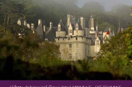 A découvrir aux alentours du Camping Loire et Châteaux à Bréhémont en Indre et Loire proche de Tours et Saumur, près des châteaux de La Loire