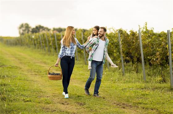 Offre week-end, court-séjour en couple, entre amis, en famille en Val de Loire - Camping Loire et Châteaux à Bréhémont entre Tours et Saumur près des Châteaux de la Loire