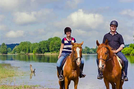 Balade à cheval avec Touraine Cheval proche du Camping Loire et Châteaux à Bréhémont en Indre et Loire proche de Tours et Saumur, près des châteaux de La Loire
