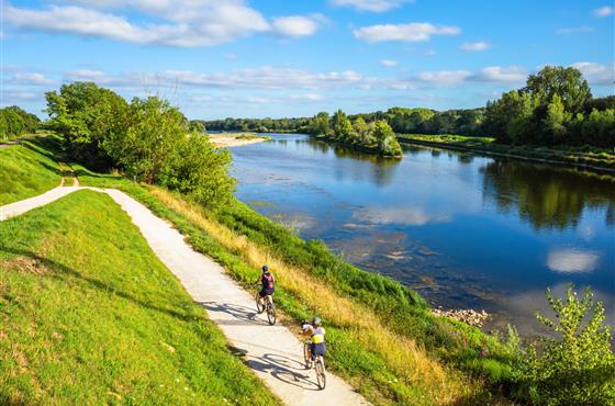 Découvrir les berges de la Loire à Vélo